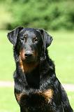 BEAUCERON 850